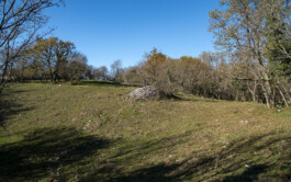 vodopivec